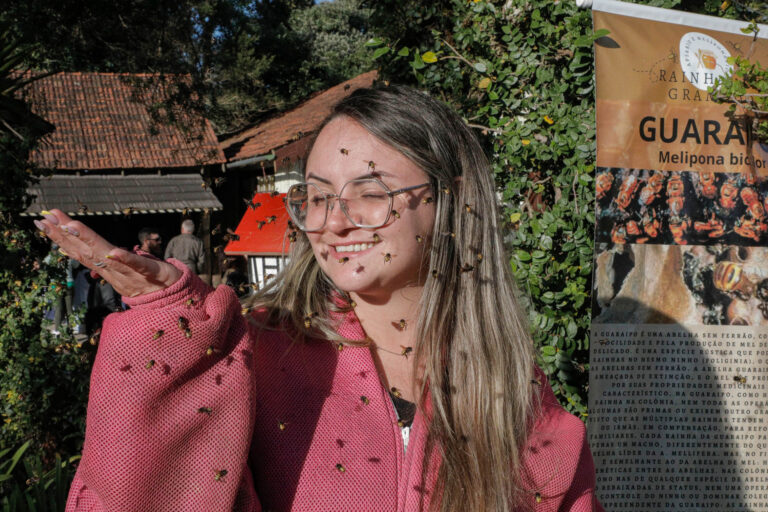 Abelhas sem ferrão são apresentadas na 34ª Festa da Colônia de Gramado
