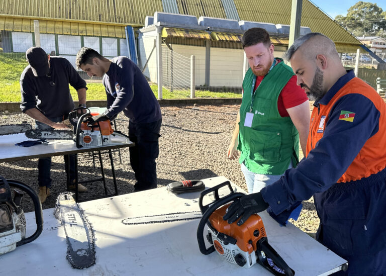 Servidores passam por capacitação em altura e operação de motosserra