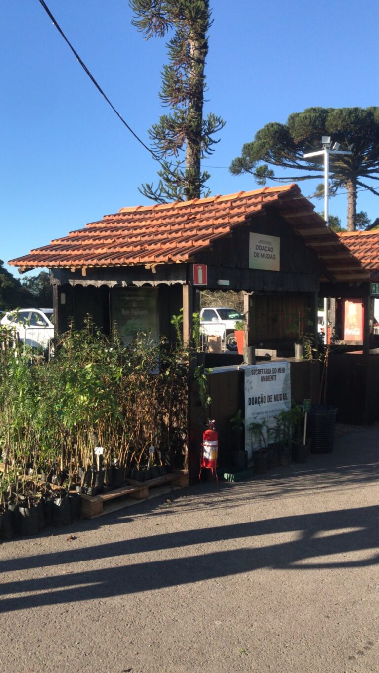 Secretaria do Meio Ambiente distribui mudas nativas na Festa da Colônia