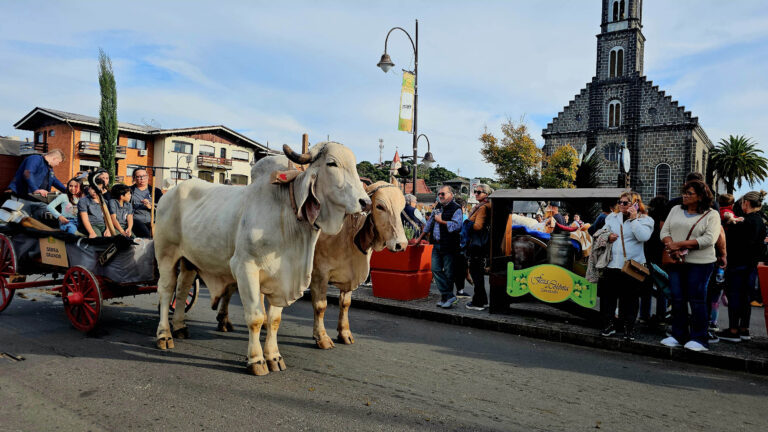 34ª Festa da Colônia promoveu segundo Desfile de Carretas
