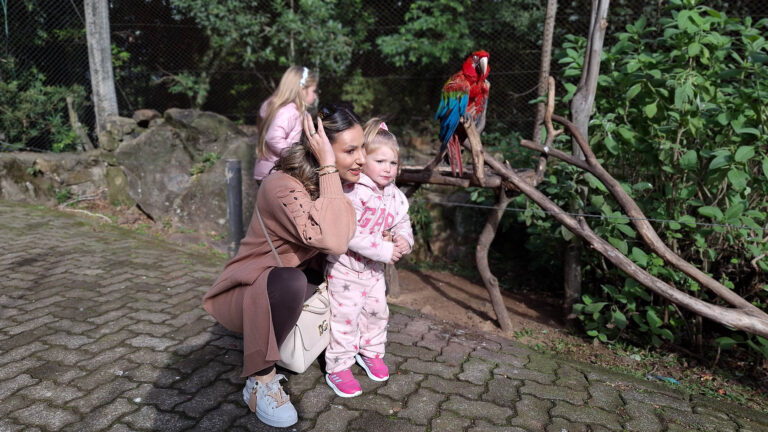 Mães têm entrada gratuita no Gramadozoo no final de semana