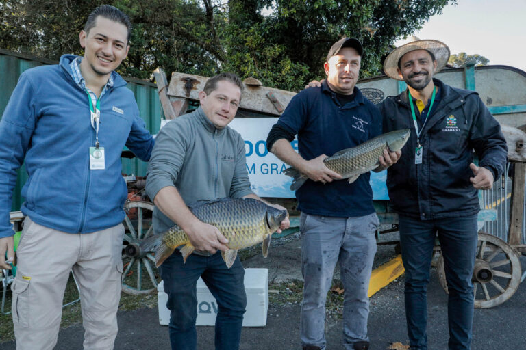 Atrações da 34ª Festa da Colônia no final de semana