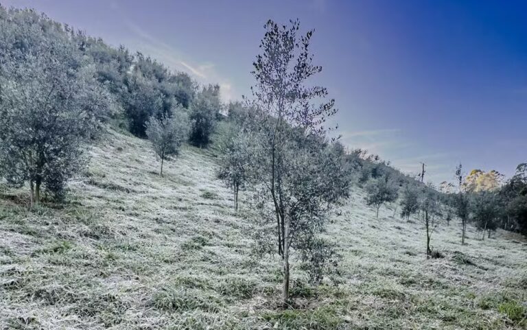 Frio de 0°C e geada: veja previsão para terça-feira no inverno do RS