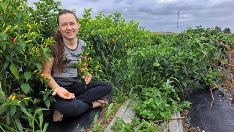 Abertas inscrições para edição 2025 do Programa Bolsa Juventude Rural