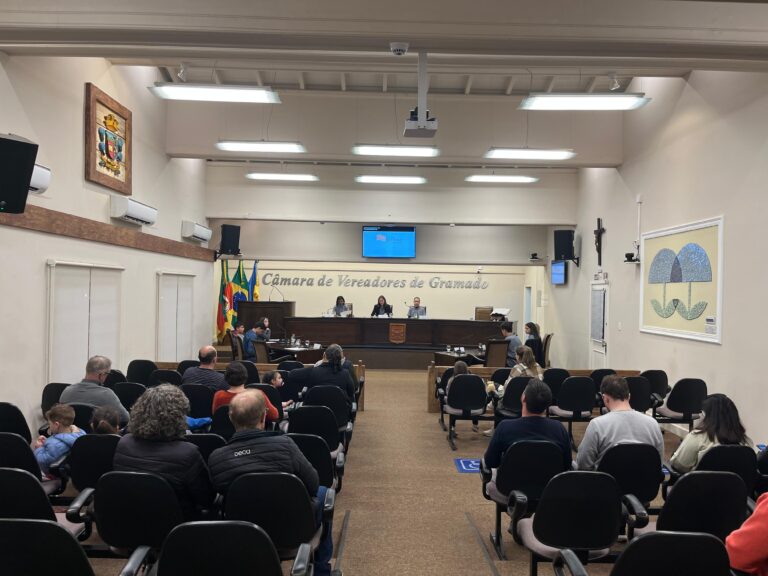 Vereadores Jovens apresentam leis e indicações em sessão na Câmara