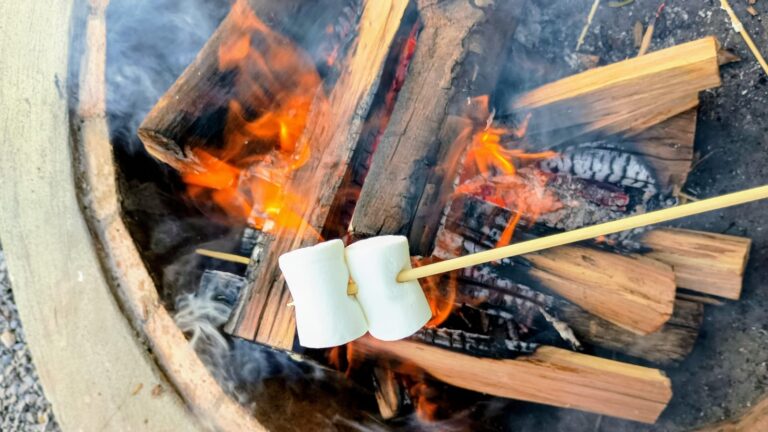 Hotel Sesc Gramado prepara programação de atrações infantis para hóspedes durante as férias escolares