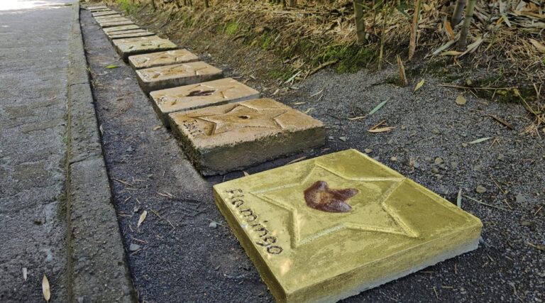 Flamingo tem pegada eternizada na Calçada da Fauna do Gramadozoo