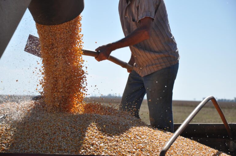 Conab estima produção de 345,2 milhões de toneladas no país. RS, previsão é de 33,3 milhões de toneladas