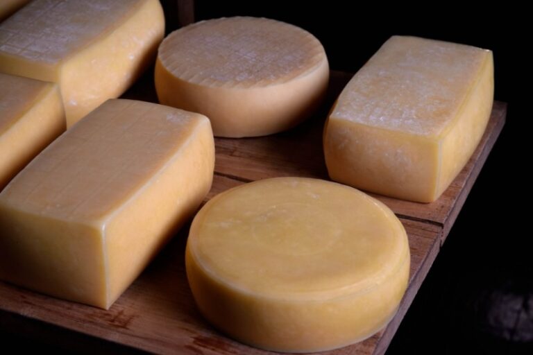 Canela participa do seminário para IG do queijo colonial na Serra