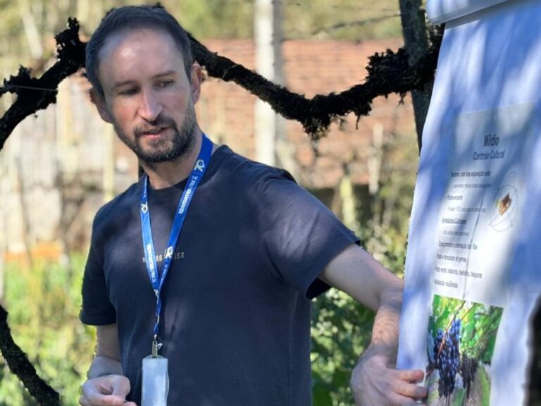Gramado realiza tarde de campo sobre manejo de doenças da videira