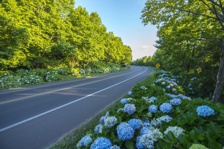 Gramado terá representante oficial na Argentina e presença na Feira Internacional de Turismo