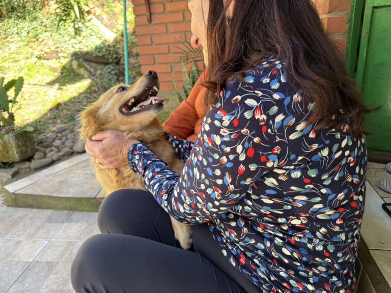 “Cão propaganda” do Cempra encontra família em Canela