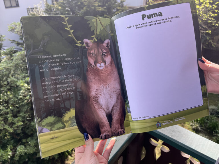 Gramado lança livros infantis sobre a Mata Atlântica no Dia da Defesa da Fauna