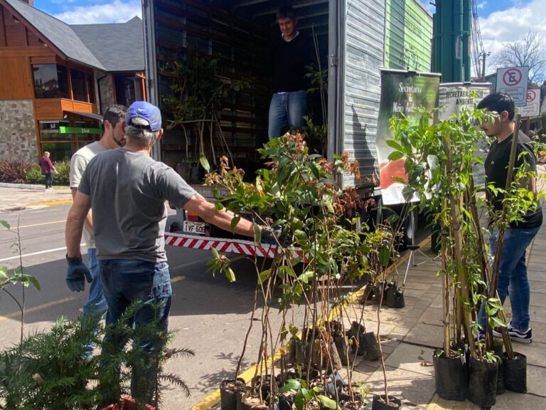 Semana da Árvore distribui 220 mudas e incentiva plantio em Gramado