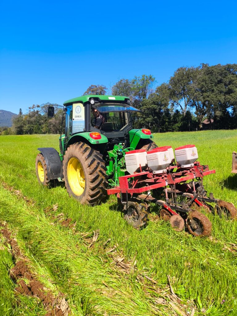 Prefeitura auxilia agricultores no plantio de milho em Canela