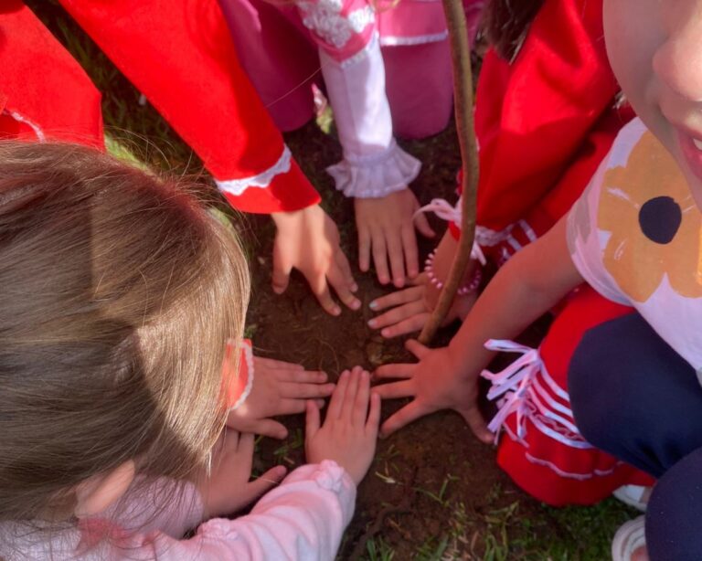 Escolas de Gramado recebem doação e plantio de mudas nativas