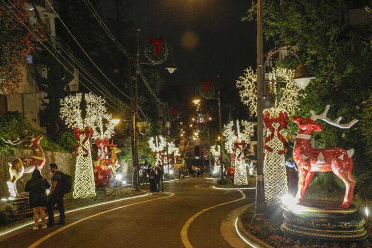 40° Natal Luz abre inscrições para concurso de pintura de renas