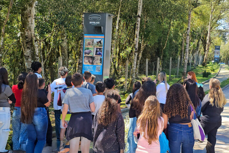 Skyglass Canela recebe mais de 350 crianças em ação especial pelo Dia das Crianças