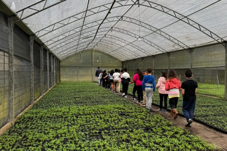 Alunos da rede municipal realizam visita ao Horto Municipal