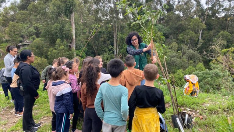 Alunos de Canela plantam mudas nativas para recuperar mata ciliar no Arroio Marta