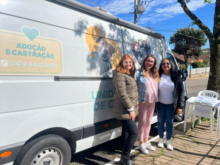 Saiba como castrar seu animal de estimação de forma gratuita