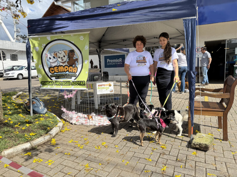 Cempra realiza Feira de Adoção amanhã em frente à Prefeitura de Canela