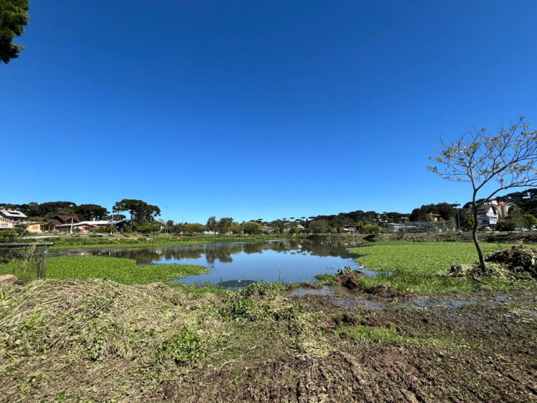 Transformação no Parque do Lago: limpeza, tecnologia e novos ares