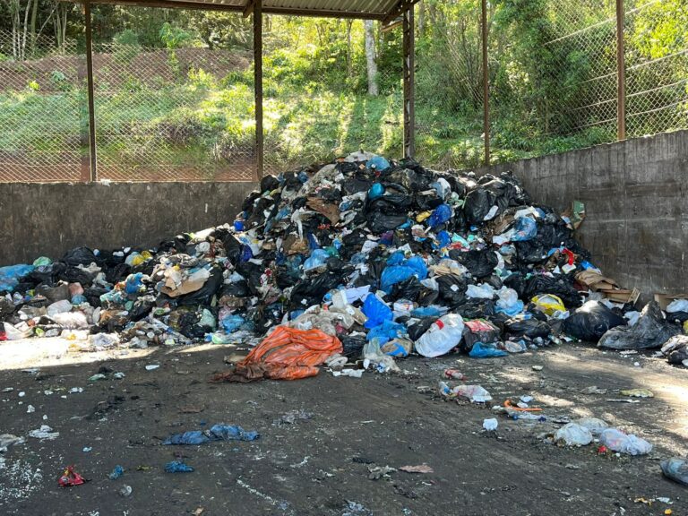 NOVA COLETA: “Cada cidadão precisa fazer sua parte”