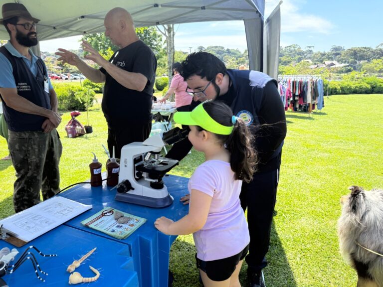 Feira Canela + Verde movimentou o Parque do Lago no sábado