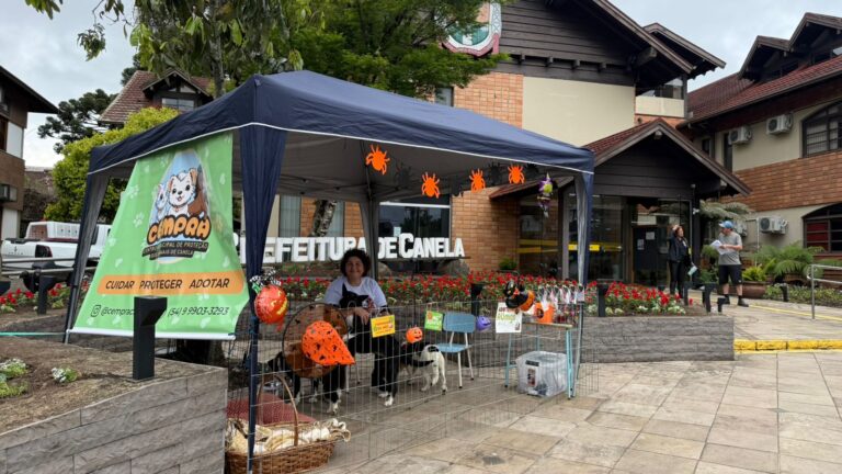 Cempra realiza feira de adoção de cães com tema de Halloween em Canela