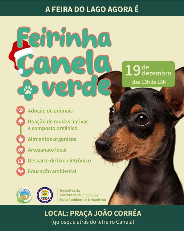 Feira Canela + Verde terá edição especial no Sonho de Natal nesta sexta-feira