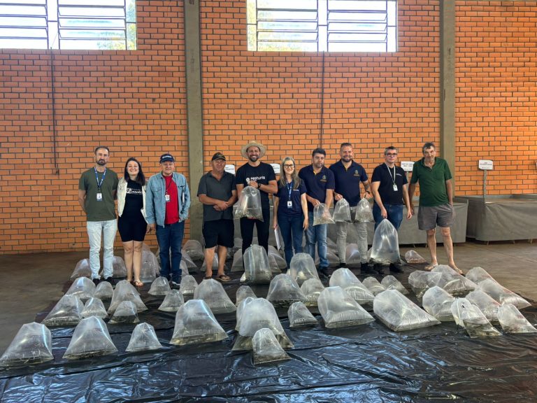 Gramado distribui 10 mil alevinos a produtores rurais