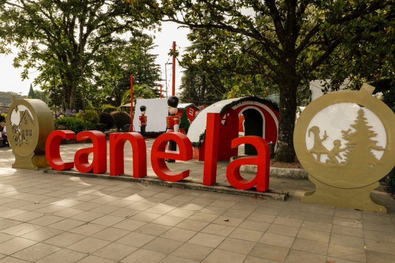 24ª Feira do Livro terá abertura oficial nesta sexta-feira em Canela