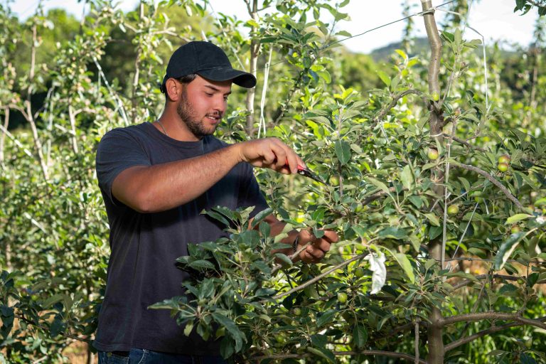 Sicredi Pioneira oferece bolsas de estudo para curso técnico em agropecuária