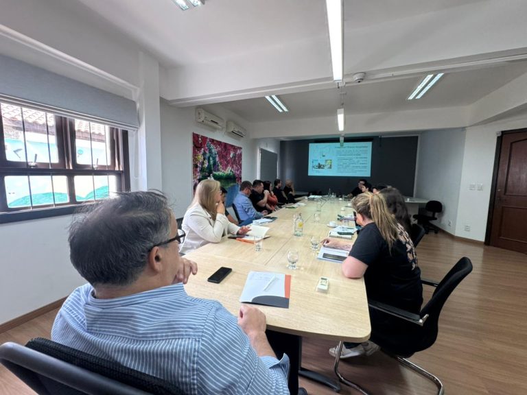 Projeto de nova centralidade propõe descentralizar serviços do centro de Gramado