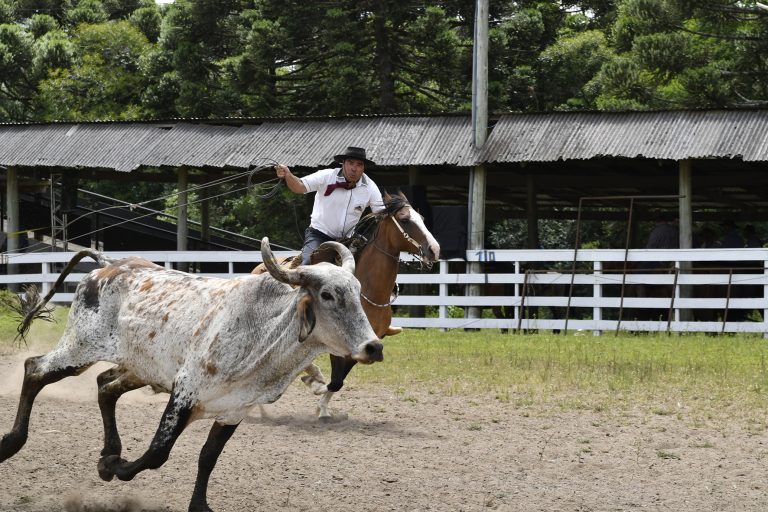 Rodeio de Canela começa nesta quinta