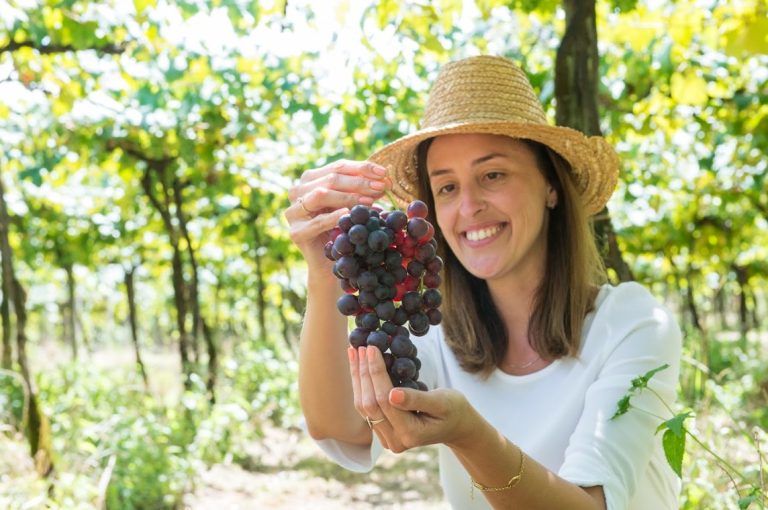 Gramado dá início à 5ª Vindima amanhã