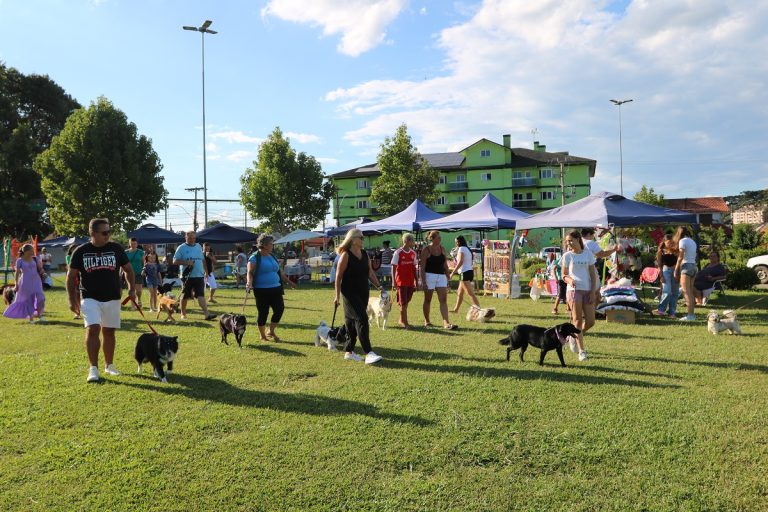 Parque do Lago recebe amanhã Feirinha Canela + Verde