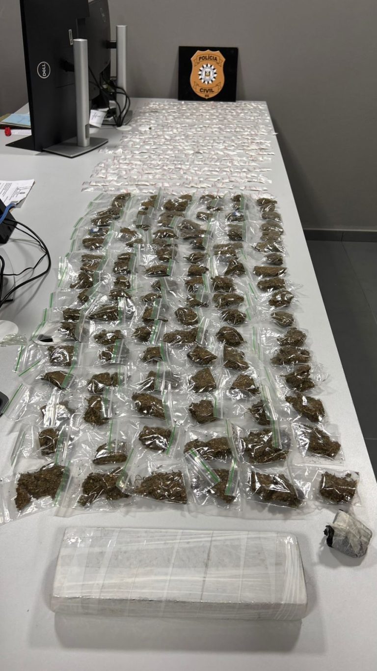 Polícia Civil apreende drogas avaliadas em R$ 100 mil