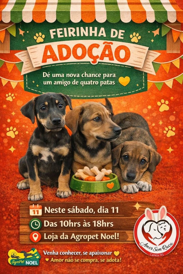 Feirinha de adoção promove nova chance para animais em Canela