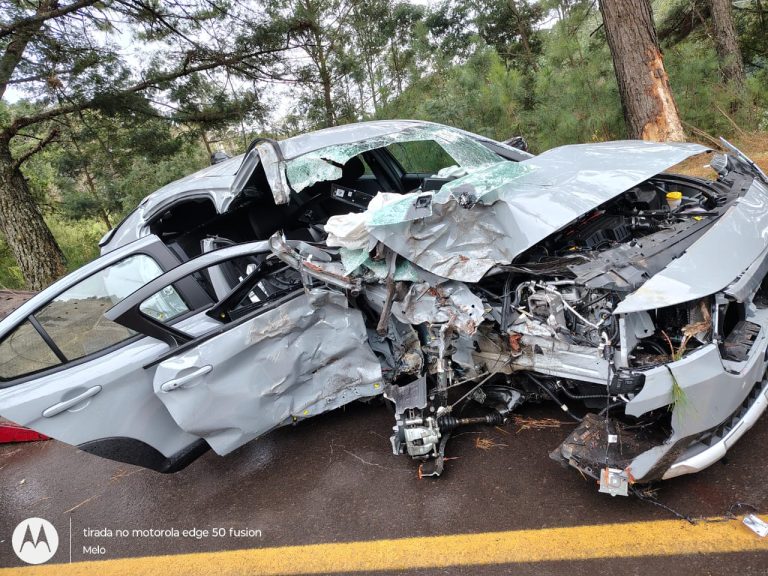 Motorista é detido por embriaguez após colidir contra árvore na ERS-235