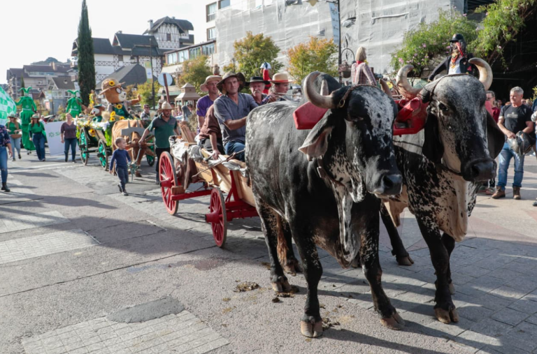 FOTOS: Tradição e cultura são atrações na 35ª Festa da Colônia