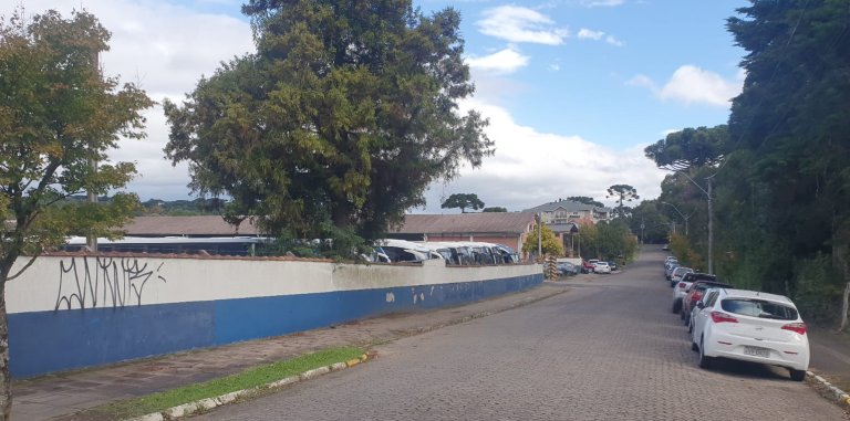 FOTOS: Anunciado investimento para a “Rua da Citral”