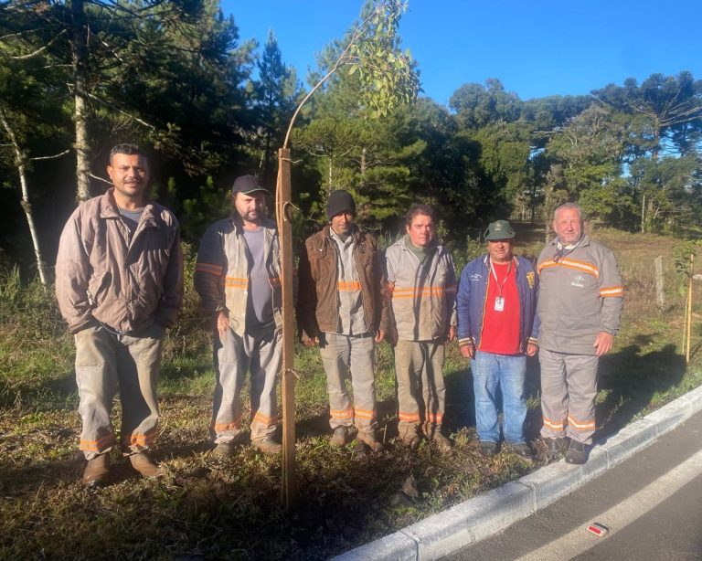 Parceria garante o plantio de 500 mudas de árvores nativas