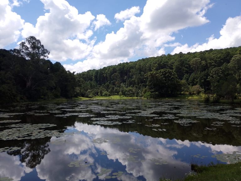 Um Dia no Parque ocorre neste sábado