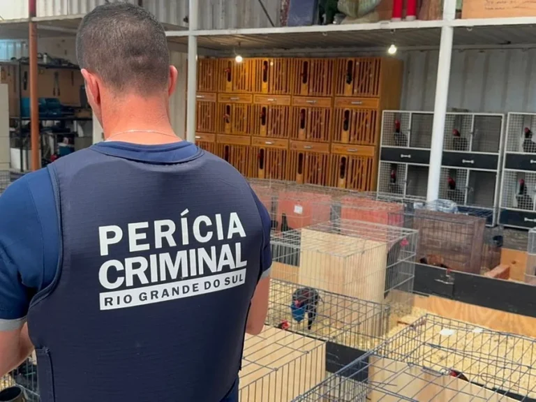 Justiça proíbe abate de aves apreendidas em criatório de empresário em Gramado