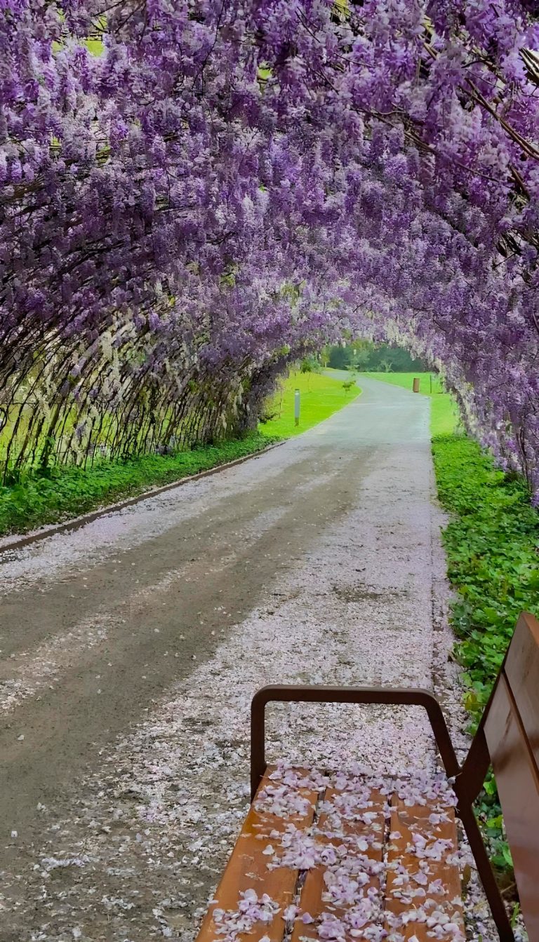 Festim de Primavera do Mátria chega à terceira edição e confirma sucesso comingressos esgotados