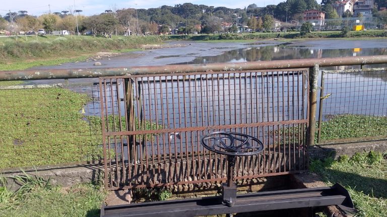 FOTOS: Manutenção provoca redução temporária no nível da água no Parque do Lago; não houve morte de peixes