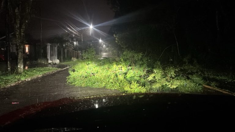 Canela registra noite com queda de árvores e casas destelhadas